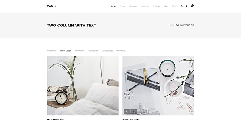portfolio