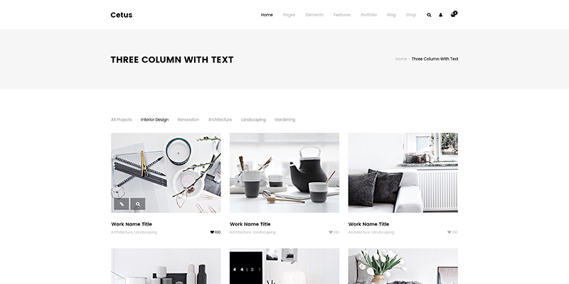 portfolio