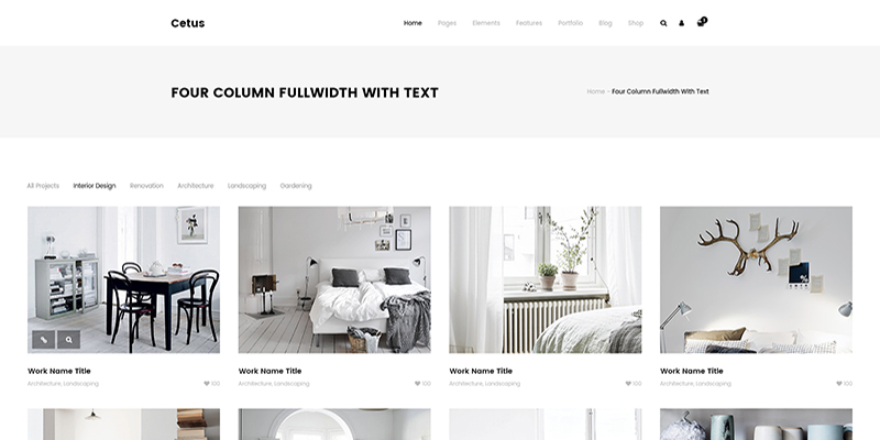 portfolio